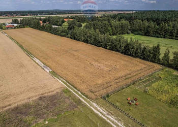 Kicin k/Poznania|3007 m²|Kapitał rosnący w ciszy