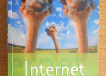 Przewodnik Pascala - Internet