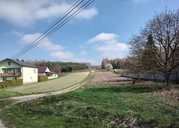 Duża działka 1,47 ha, Szyszczyce, gmina Chmielnik