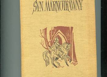 Syn marnotrawny - Kraszewski