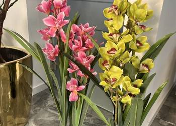 Storczyk sztuczny Cymbidium w doniczce 105 cm zielone
