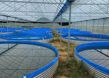 NOWE!!! PVC Baseny do hodowli ryb, Baseny do transportu ryb