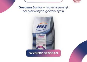 Dezosan Junior - sucha kąpiel dla prosiąt 600 kg higiena prosiąt