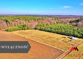 Ogłoszenie grunt 9180m2 Lipno