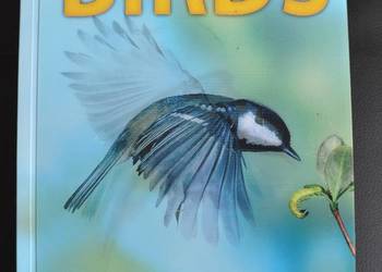 BIRDS discover the world of birds - Jinny Johnson