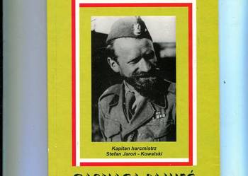 Gasnąca pamięć - Jerzy Kaliński