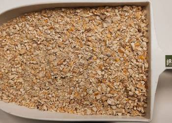 Kukurydza paszowa mlewnikowana dla kur kaczek drobiu