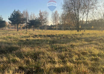 Działka budowlana nr 59/20 Józefów gm. Pniewy