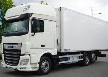 DAF XF 480 Euro 6 / 2021 / Chłodnia Lamberet / Carrier Vector 1550_221299
