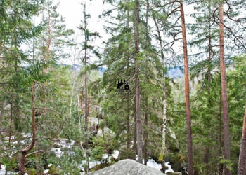 Grunt 1219m2 Kościelisko