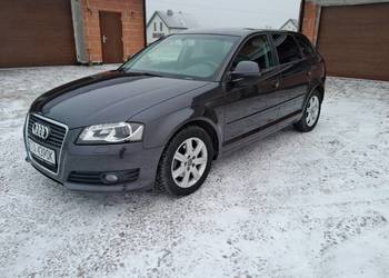 Audi A3 Sportback 8p Lift 2.0 TDI CR Xenon Led