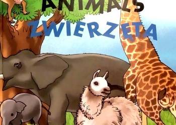 417 Discovery Animals Zwierzęta (P) (14)