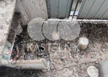Sprzątanie po gołębiach Opoczno – Kastelnik, mycie balkonów, strychów