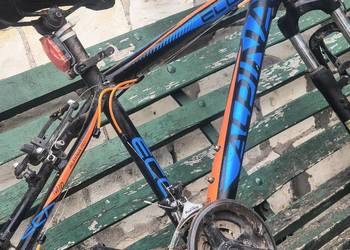 Rower Alpina Eco M10