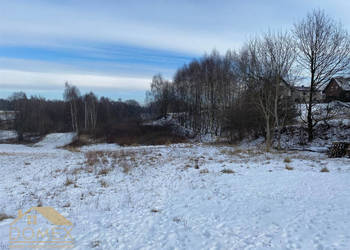 Grunt 8000m2 Wodzisław Śląski