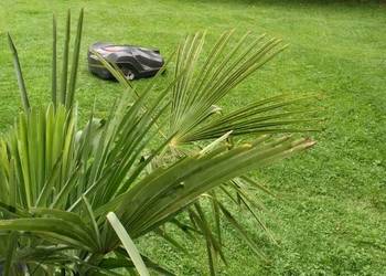 Husqvarna Robot auto Mower 330X z Garażem do koszenia do 1500mq