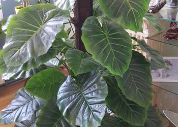 Sztuczny kwiat duży Filodendron – Monstera