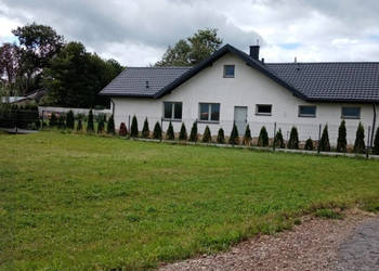 Działka w Lubicach