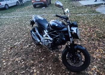 Suzuki Gladius SFV650
