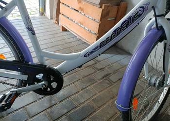 Rower Pegasus