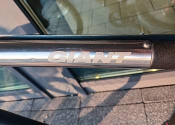 Giant