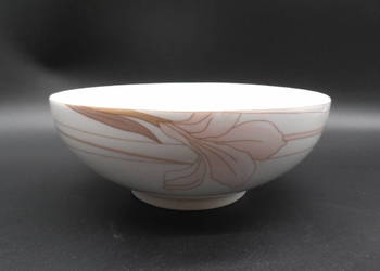 Porcelanowa miska Eschenbach Thema Tropical z motywem różowego irysa.