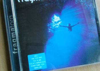 Fragmatoca Fragmatoca