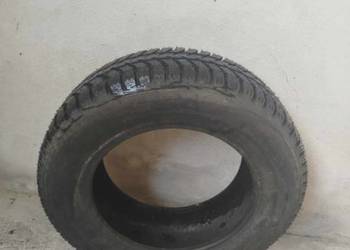 iceways lassa 195/65 r15