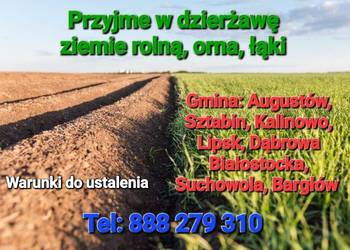 Dzierżawa gruntów rolnych pod zboża, kukurydze