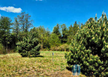 Działka Zambski Kościelne 1940m2