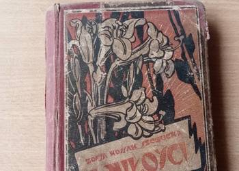 Zofia Kossak Szczucka Z miłości 1926