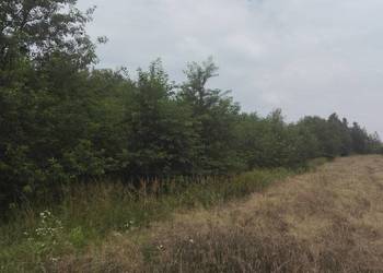 działka budowlana racławice