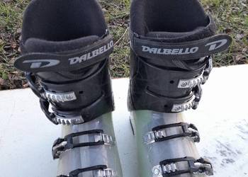Buty do nart dalbello wloskie