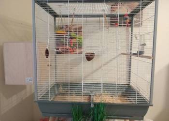 Woilera dla ptawów i gryzoni.