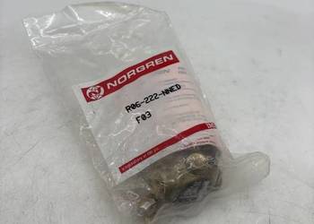 Norgren R06-222-NNED Regulator