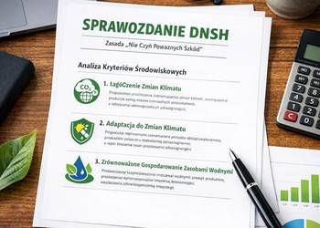 Szkolenie indywidualne z DNSH, pomoc raport, sprawozdanie, ocena