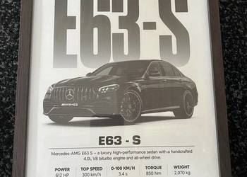 Obraz motoryzacyjny E63-S (Opis)