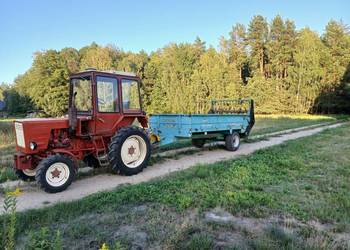 Rozrzutnik warfama n226