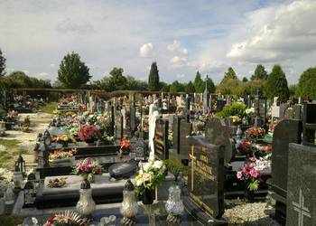 Usługi przycięcie, skrócenia,  pielęgnacji, żywopłotu, tui na cmentarzu
