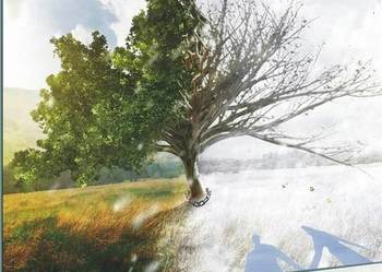 Droga przez gorzkie łzy