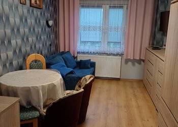 Wynajmę mieszkanie 22m2  umeblowane w Chynowie