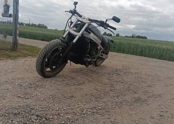 Kawasaki ZX 10 Tomcat