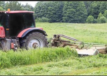 Wydzierżawię grunty rolne i leśne, łąki zakrzewione i zadrzewione