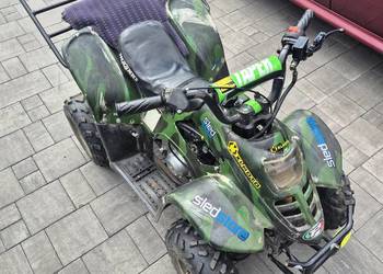 Quad 110 ccm