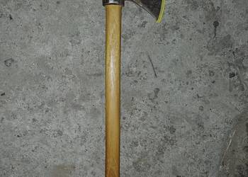 Toporek ciesielski stary