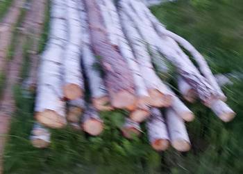 Kołki,stęple 3m