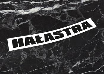 Naklejka K13 + HAŁASTRA 10 x 1,7 cm e1 e1grupa halastra #2