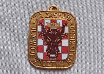 Za Zasługi dla Województwa Kaliskiego, imienna, nr 265/80. 1980 r.