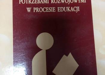 Wybrane problemy dzieci i młodzieży kolekcjonerskie