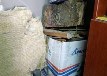 opał drewno drzewo pieńki do bardzo pilnej sprzedaży